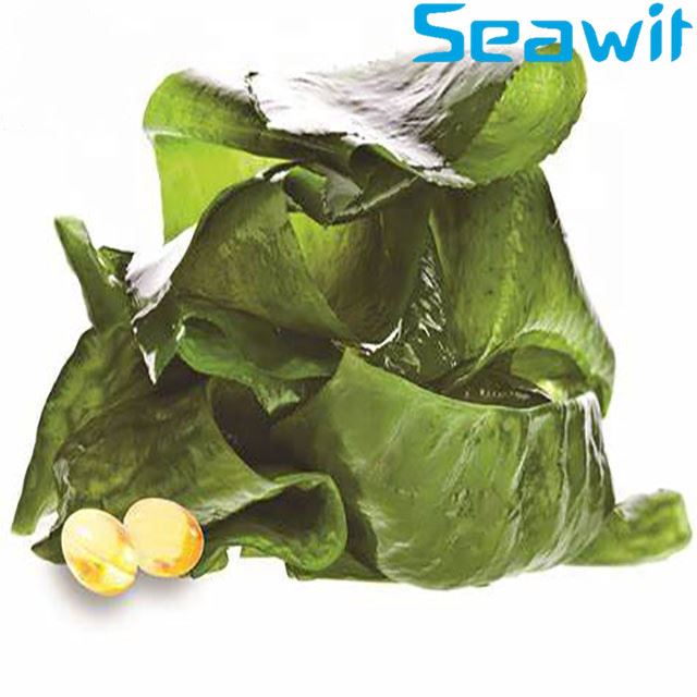 Docosahexaenoic Acid Algae Oil